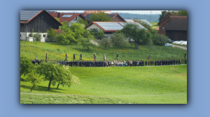 DSCF1195.jpg