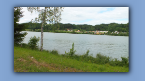 DSCF4517.jpg